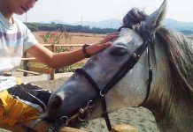 Cavall de Troya, centro de equinoterapia en Barcelona Equinoterapia en Barcelona