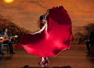 Espectáculos de flamenco en Barcelona y Olé Espectáculos de flamenco en Barcelona y Olé